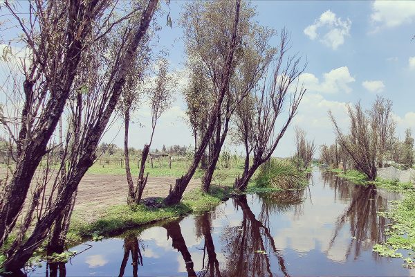 xochimilco-1