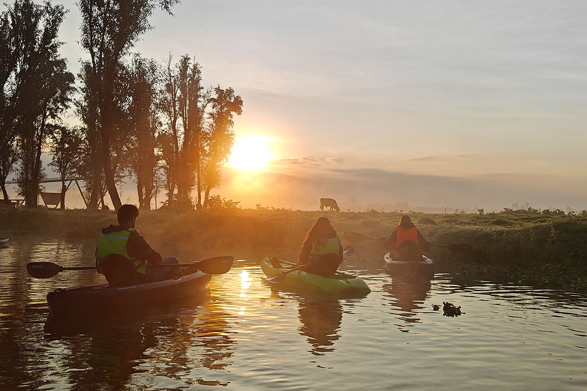 Kayak en Xochimilco