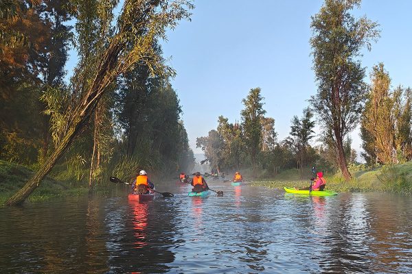 Kayak