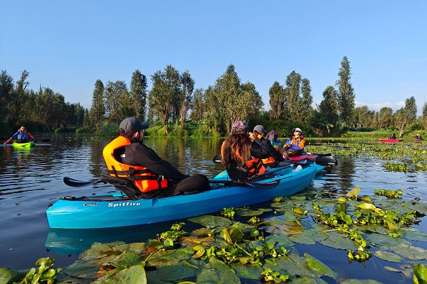 Kayak