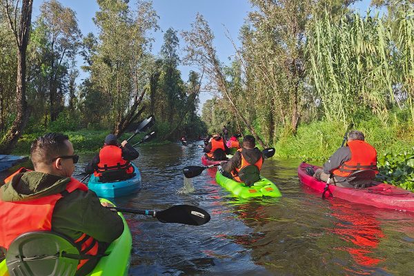 Kayak