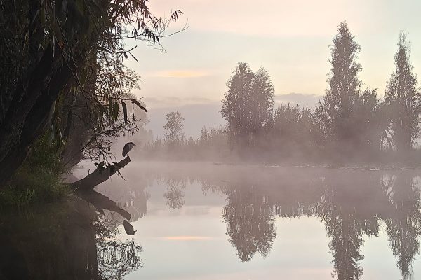 Lago de Xochimilco